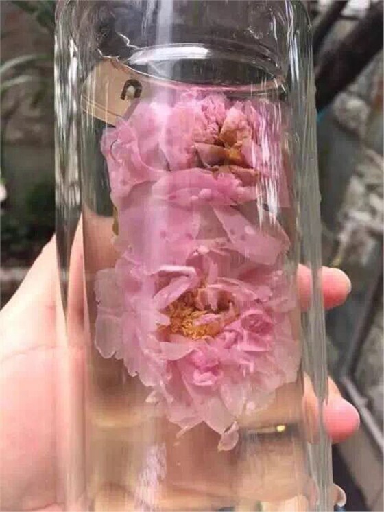 玫瑰花茶